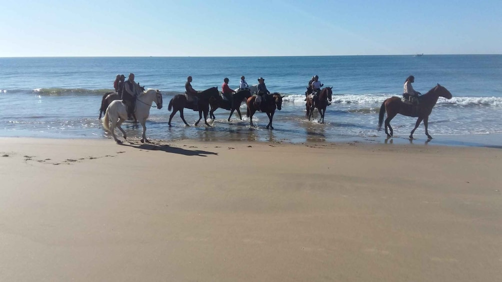 Picture 3 for Activity Horse-Riding Tour in Doñana National Park