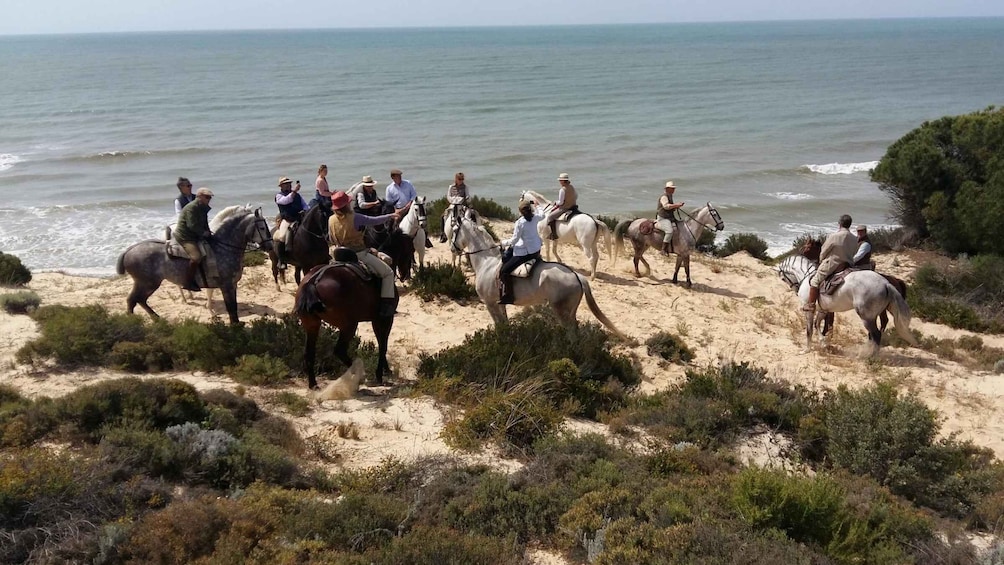 Horse-Riding Tour in Doñana National Park