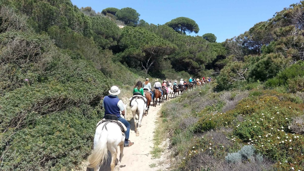 Picture 2 for Activity Horse-Riding Tour in Doñana National Park