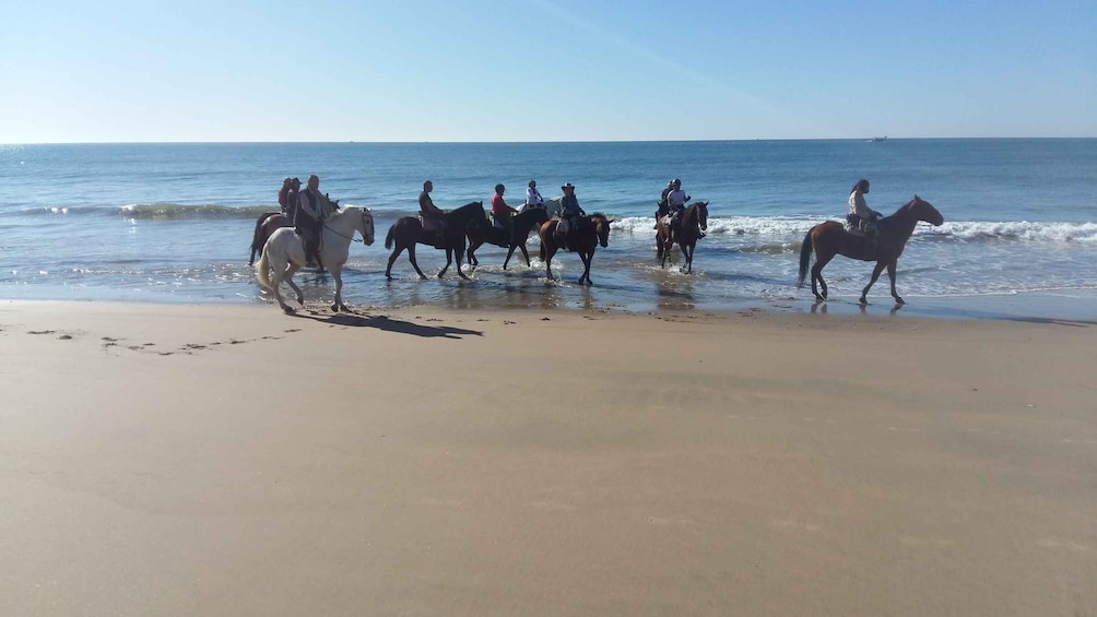 Picture 3 for Activity Horse-Riding Tour in Doñana National Park