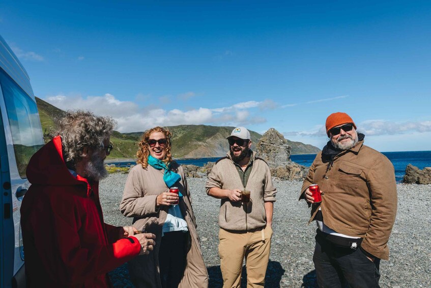 Wellington: Half Day Seal Coast Safari