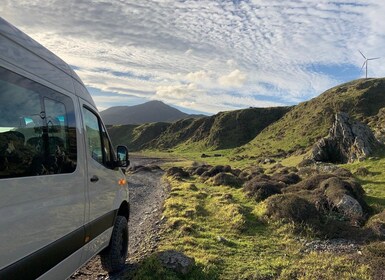 Wellington: Halvdags safari på sälkusten