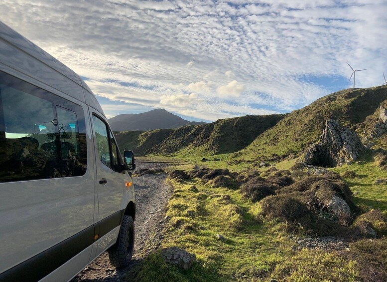 Wellington: Half Day Seal Coast Safari