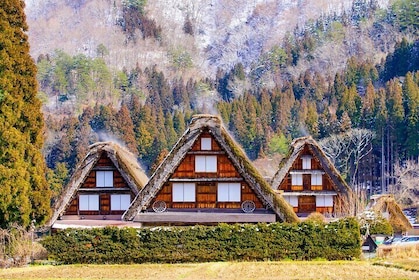 Full Day Private Tour in Takayama and Shirakawago