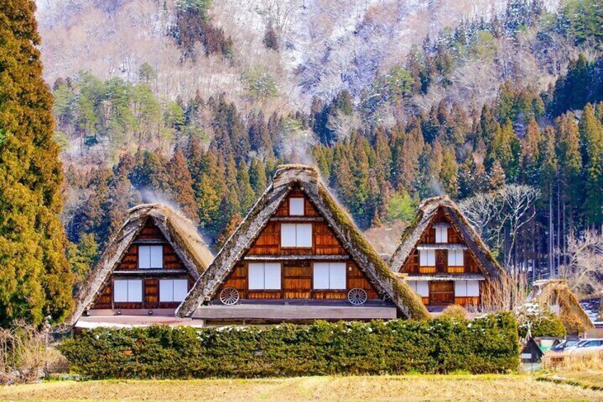 Full Day Private Tour in Takayama and Shirakawago