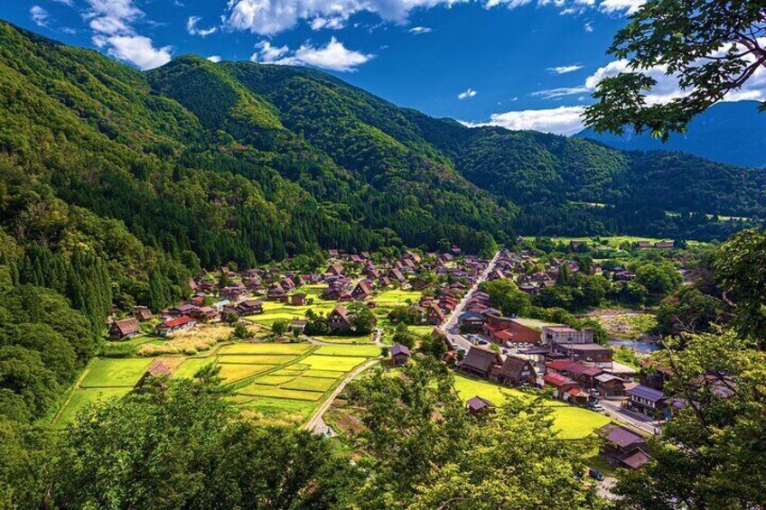 Full Day Private Tour in Takayama and Shirakawago