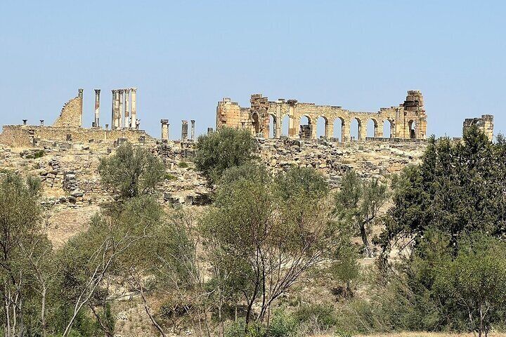 Volubilis, Moulay Idriss & Meknes Full-Day Trip From Fes