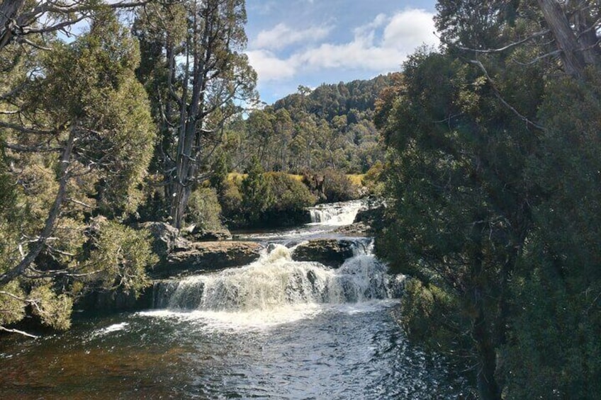 Half Day Excursion Burnie Cradle Mt