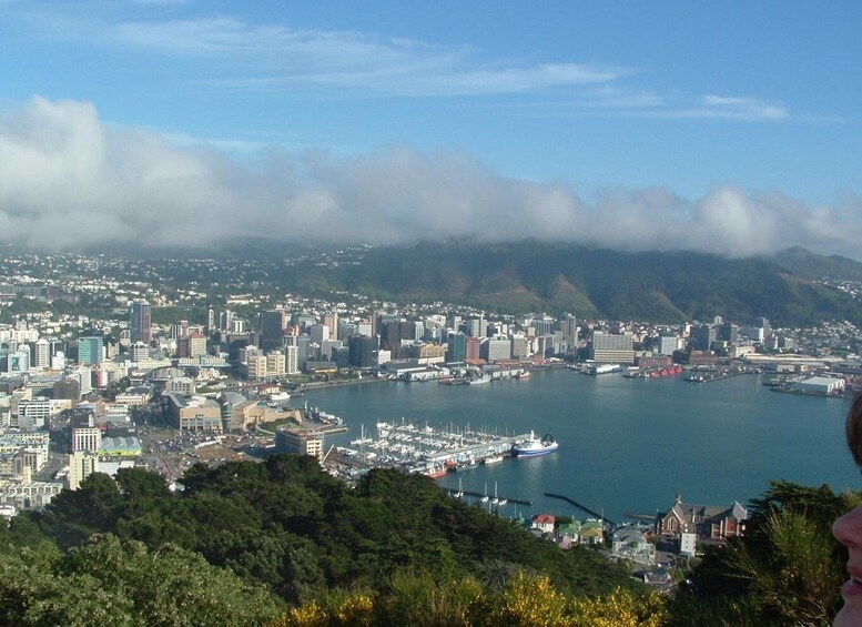 Picture 2 for Activity Wellington: Lord of the Rings Tour with Weta Workshop