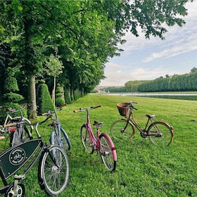 De Paris : coupe-file Château de Versailles Vélo excursion