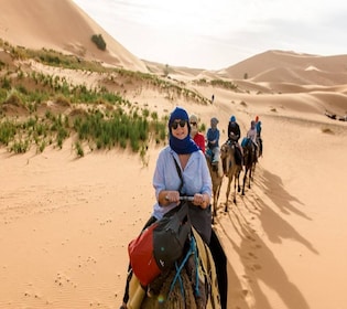 1 nuit Camel Trek dans le désert de Merzouga