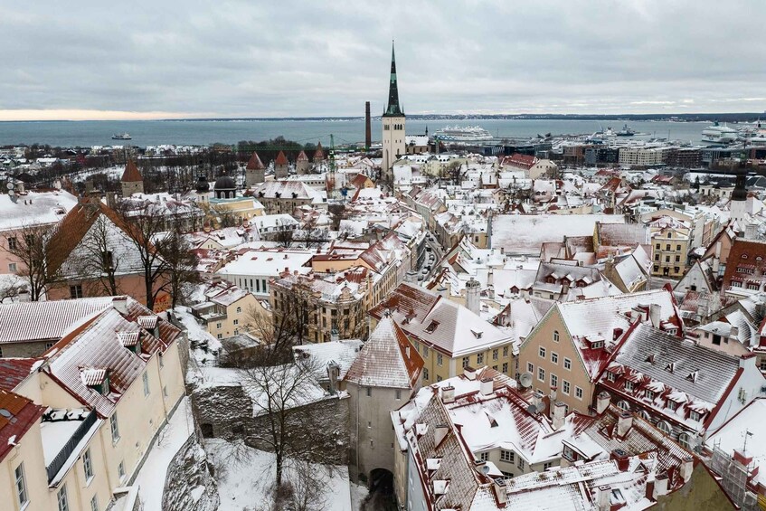 Picture 1 for Activity Tallinn Winter Bike Tour with Coffee Stop