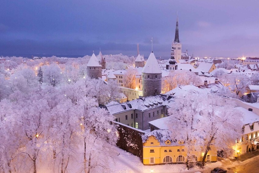 Picture 2 for Activity Tallinn Winter Bike Tour with Coffee Stop