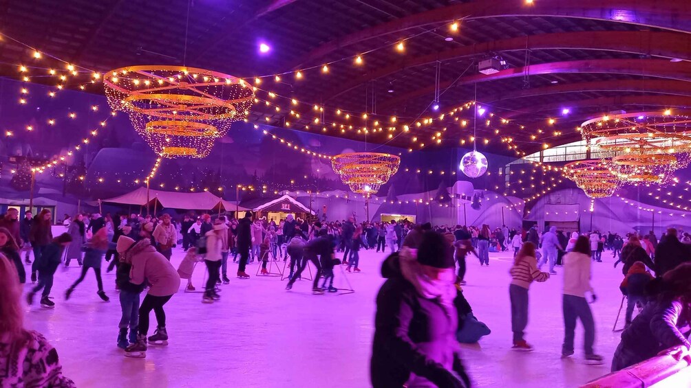 Picture 5 for Activity Bruges: Dolphin presentation, ice rink and indoor playground