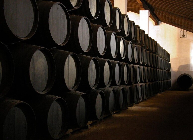 Picture 2 for Activity Jerez: Bodegas Álvaro Domecq Guided Tour with Wine Tasting