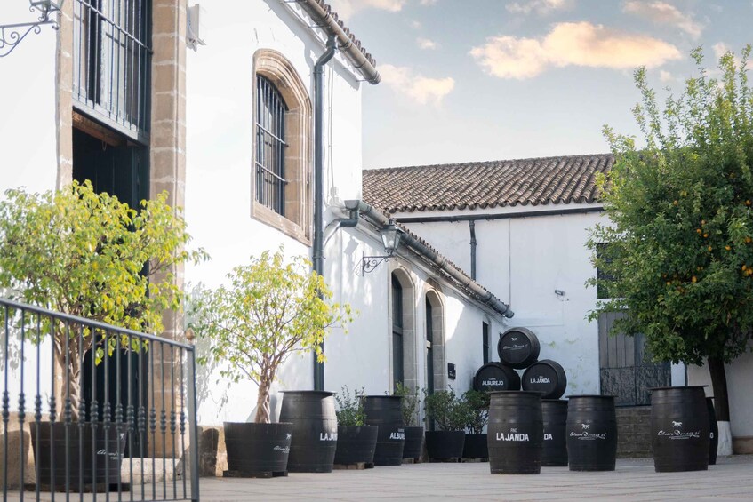 Picture 5 for Activity Jerez: Bodegas Álvaro Domecq Guided Tour with Wine Tasting