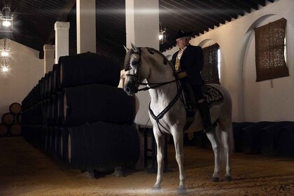 Jerez : Bodegas Álvaro Domecq Visite guidée avec dégustation de vin