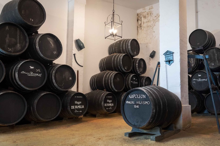 Picture 4 for Activity Jerez: Bodegas Álvaro Domecq Guided Tour with Wine Tasting