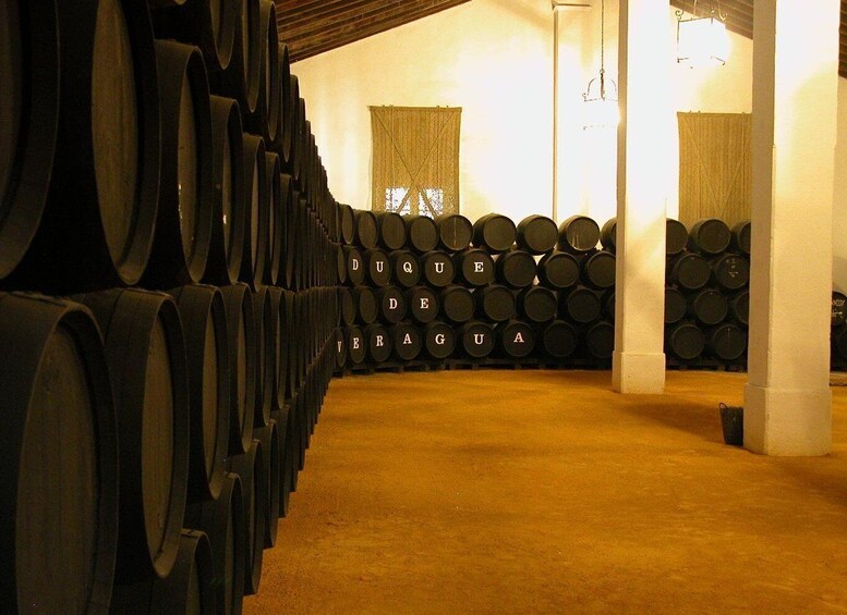 Picture 1 for Activity Jerez: Bodegas Álvaro Domecq Guided Tour with Wine Tasting