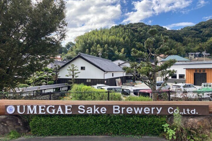 Another cultural experience is had at the Umegae Sake Brewery.