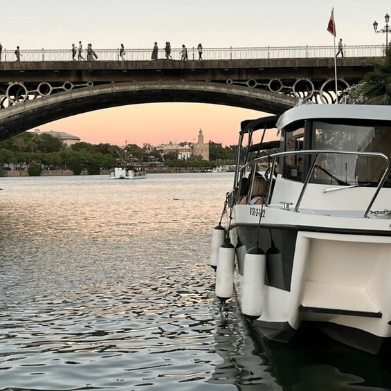 Picture 9 for Activity Private boat trip on the Guadalquivir