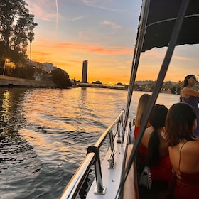 Excursion en bateau privée sur le Guadalquivir