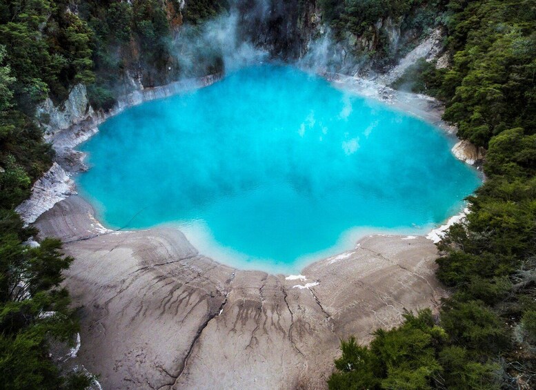 Picture 2 for Activity Waimangu Volcanic Valley Entry & Lake Rotomahana Cruise