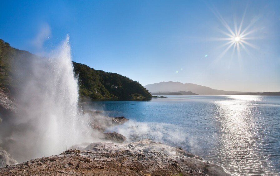 Picture 3 for Activity Waimangu Volcanic Valley Entry & Lake Rotomahana Cruise