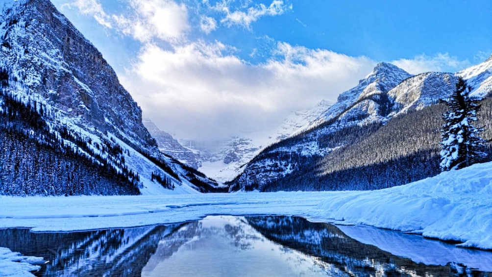 From Banff & Canmore: Lake Louise Winter Experience