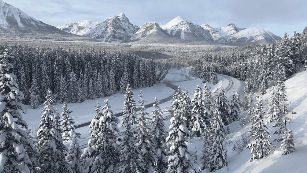 Picture 2 for Activity From Banff & Canmore: Lake Louise Winter Experience