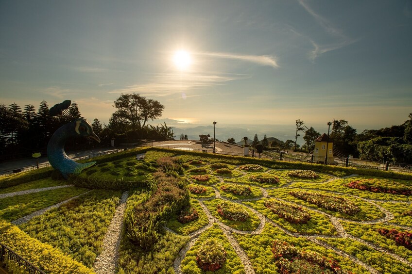 Discover Ba Na Hills and Golden Bridge Standard Tour with Lunch