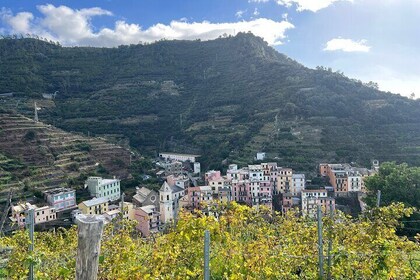Semi-Private Guided Cinque Terre Hiking Tour from Florence