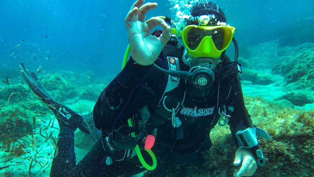 Picture 14 for Activity Bosa: Scuba Diving for Beginners in the Bosa Gulf