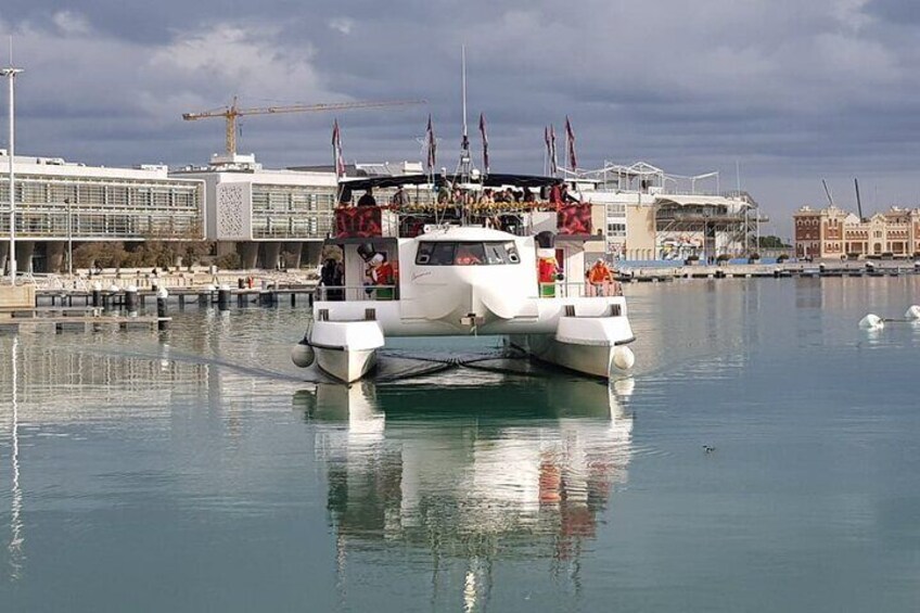 Christmas Boat Experience in Valencia