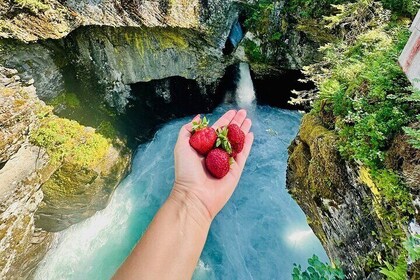 Een privérondleiding door de Alesund Trollstigen en Strawberry Valley