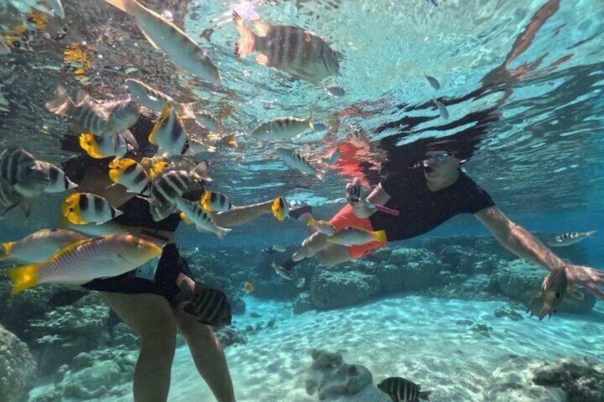 At the coral garden of Taha'a