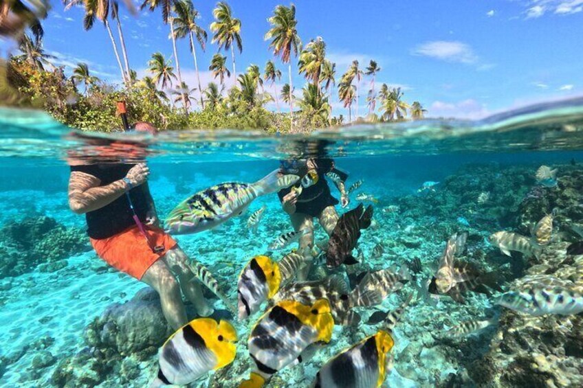 Snorkeling in Taha'a