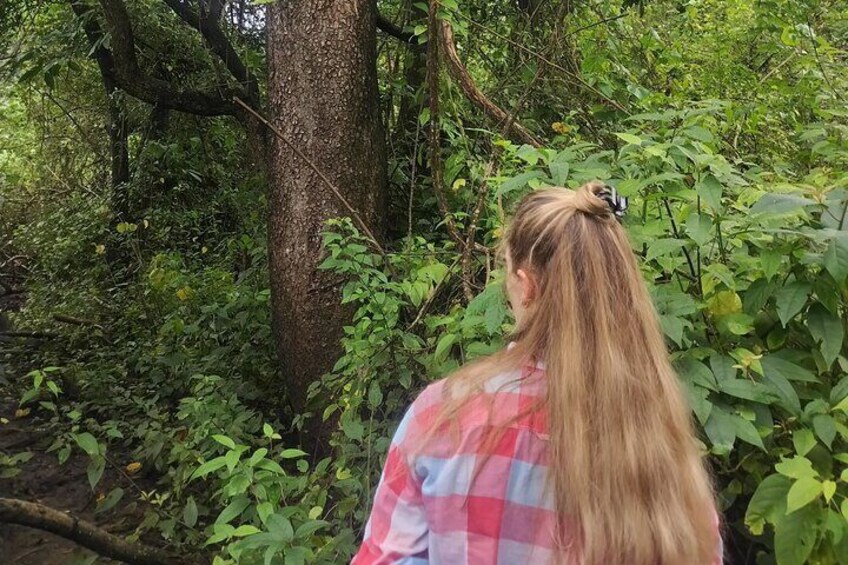 Hiking Experience in Nosara
