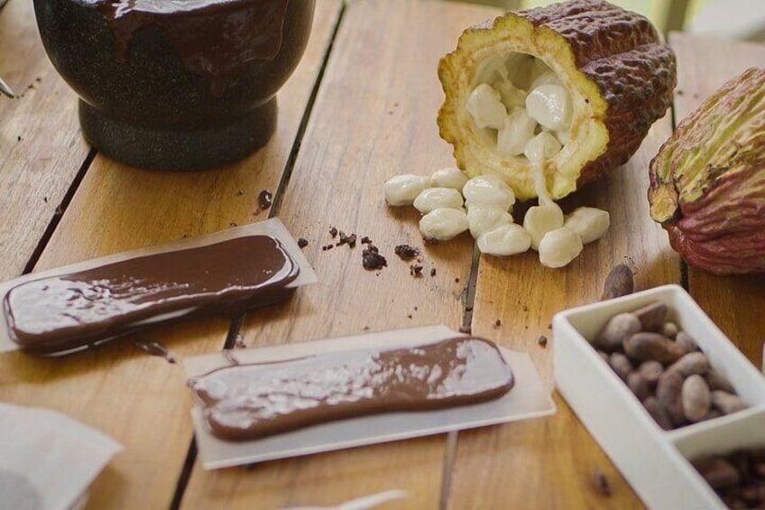 Private Guided Chocolat Bean to Bar Experience in St. Lucia