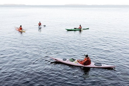 Helsinki City 3-Hour Kayak Trip