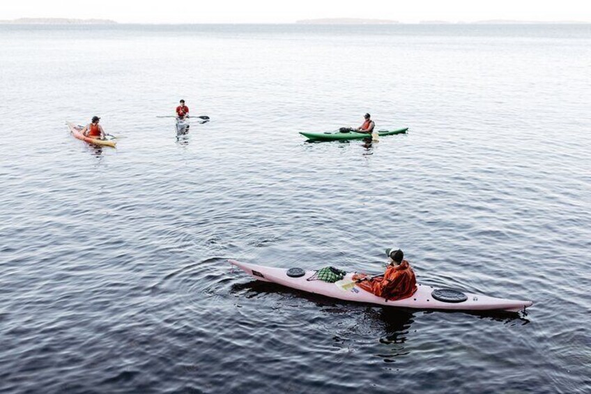 On our tours we use stable and easy-to-use kayaks. All our tours are suitable for beginners also.