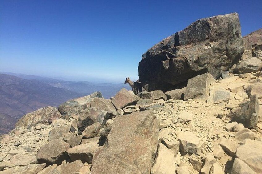 Trekking La Campana National Park From Valparaiso