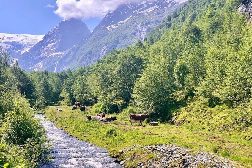 Road view in Oldedalen valley
