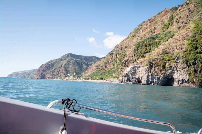 Calheta Madeira: Whale and Dolphin Watching Speed Boat Tour
