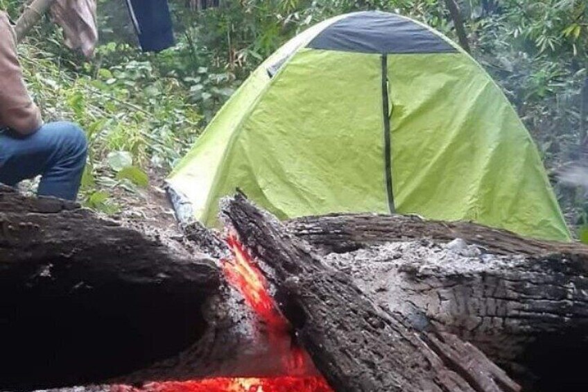 Safe Camp Fire Night in the Deep Jungle (Untouched Jungle)