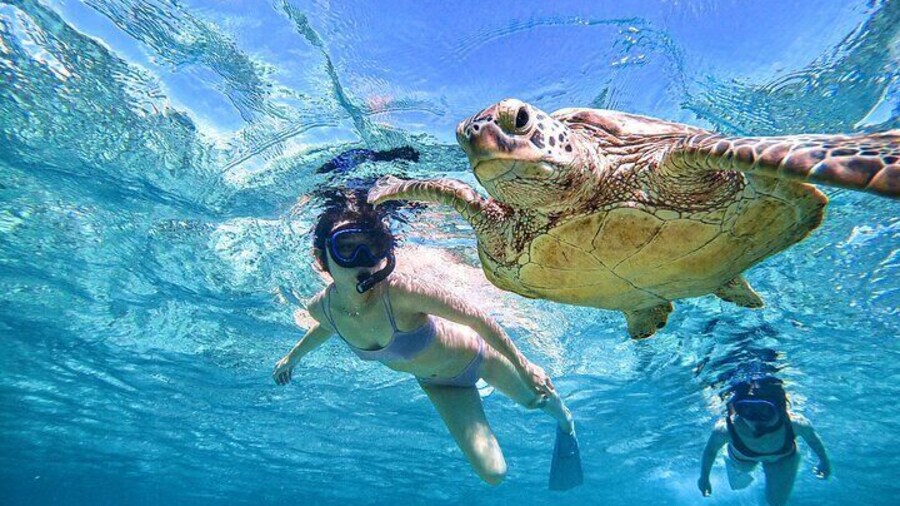 2 Hours Snorkeling Activity in Miyako Japan