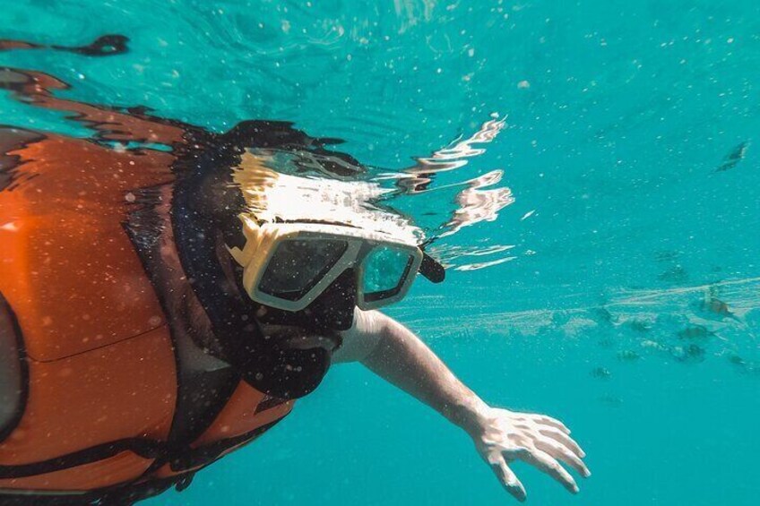 Half Day Guided Snorkeling in Negombo