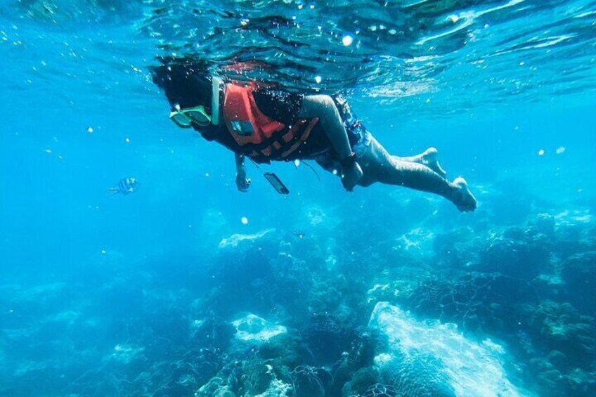 Half Day Guided Snorkeling in Negombo