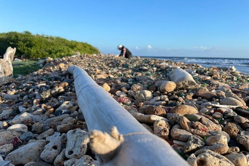Sea Glass Island Kayak & Sunset Tour