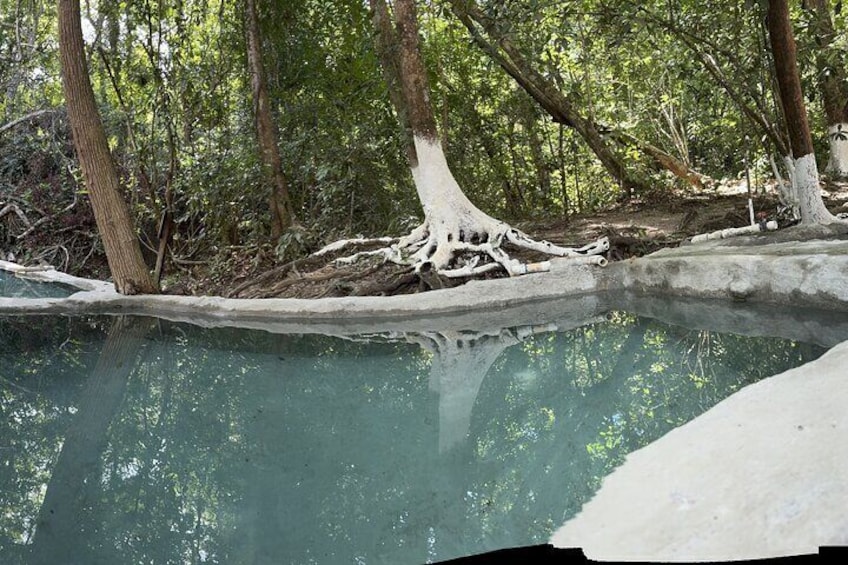 Private Full Day Tour to Nuevo Ixtlan Hot Springs with BBQ